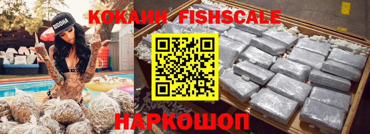 Cocaine Fish Scale  Вход с VPN  Киржач 