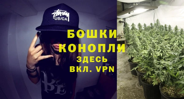 бошки Надым