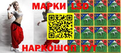 тгк Бийск