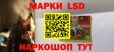 тгк Бийск