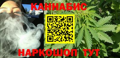 тгк Бийск