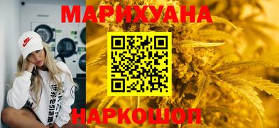 тгк Бийск