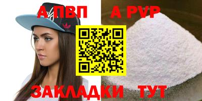 тгк Бийск