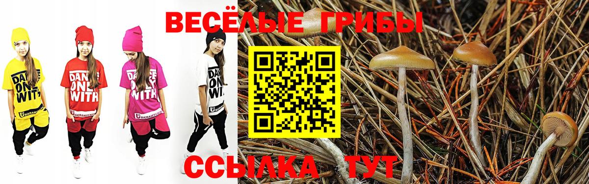 Галлюциногенные грибы мухоморы Киржач