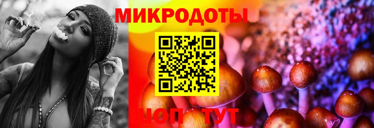 Псилоцибиновые грибы GOLDEN TEACHER Киржач