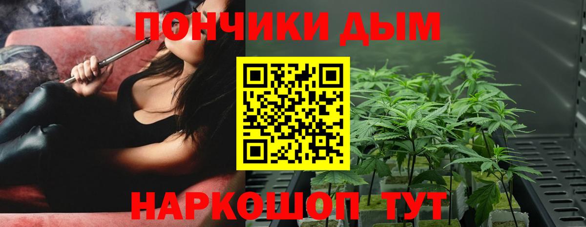 Бошки марихуана MAZAR  Вход с VPN  Конопля план  Киржач 